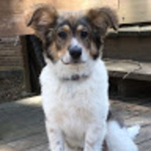 Meet your Posher, Pamela